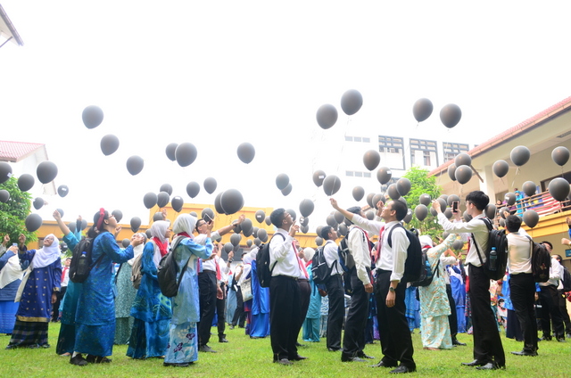 233 DSC 3137